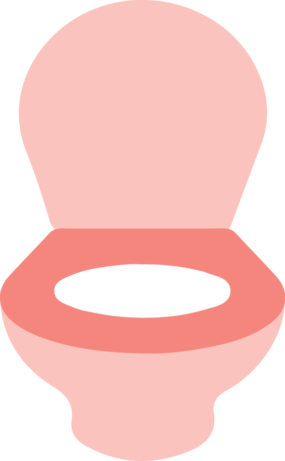 a toilet