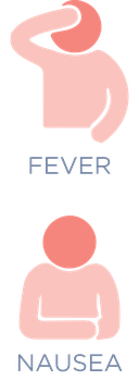 fever and nausea