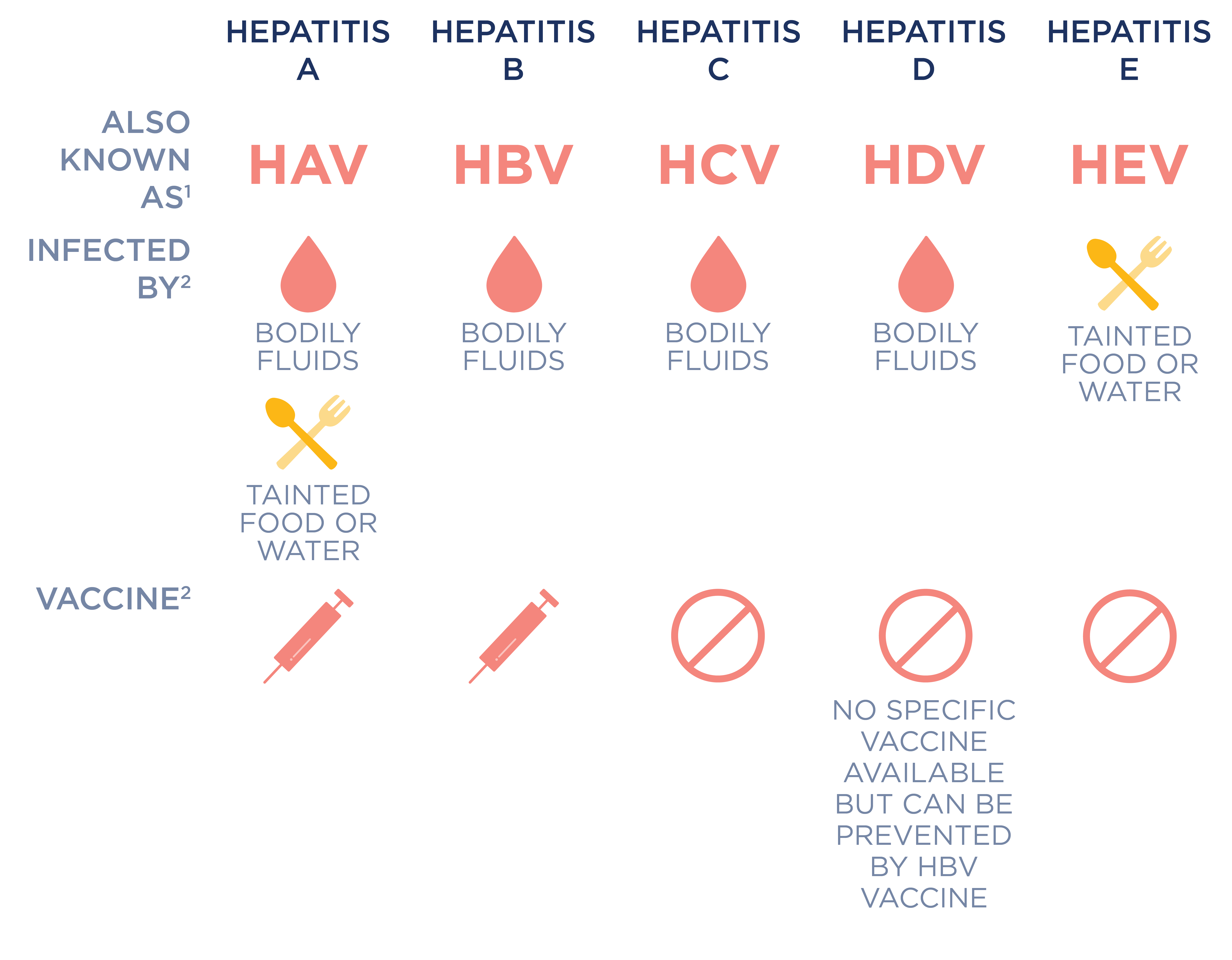 Hepatitis Infographic – Noble Health Services
