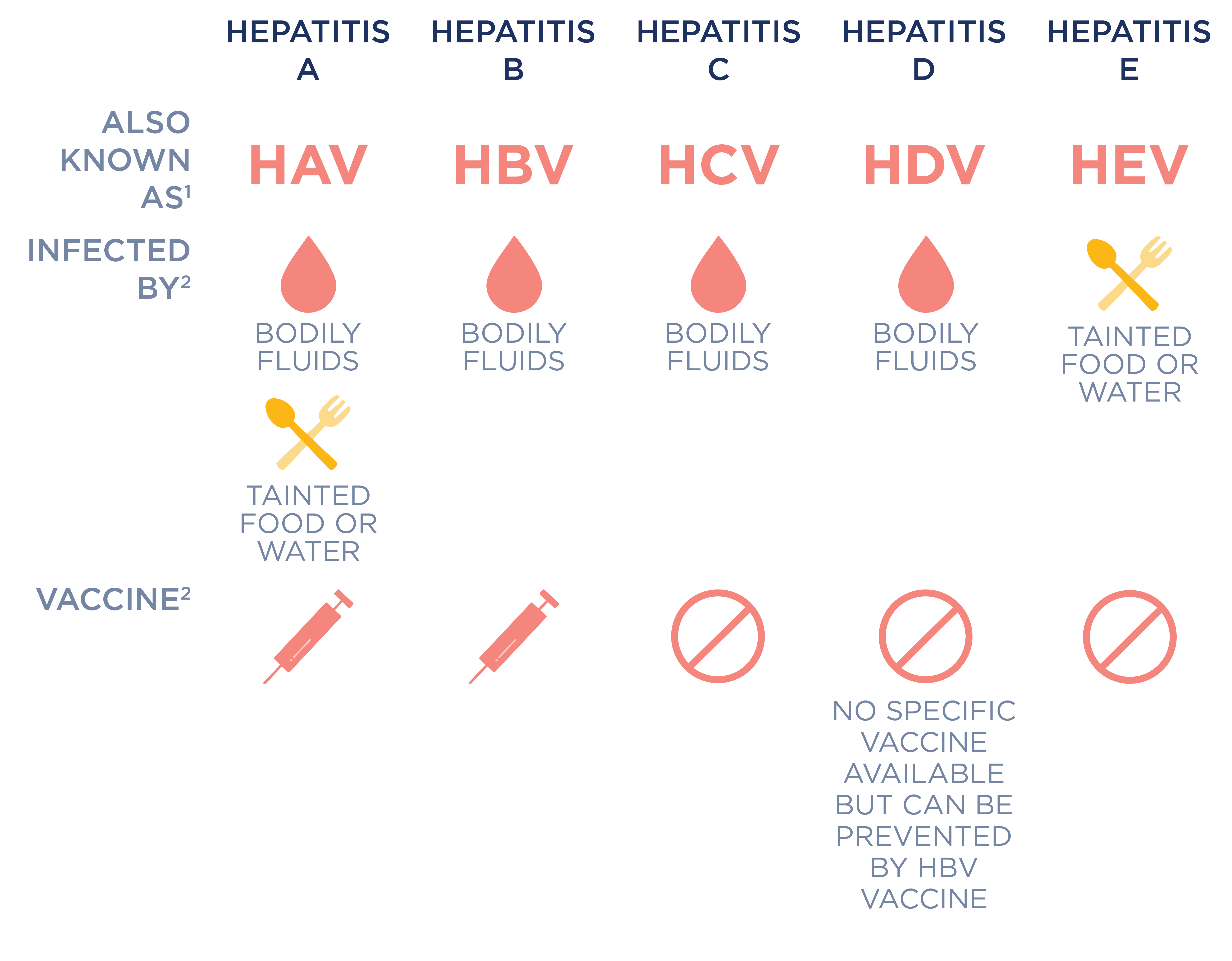 Hepatitis Infographic Noble Health Services hepatitis-infographic-noble-health-services